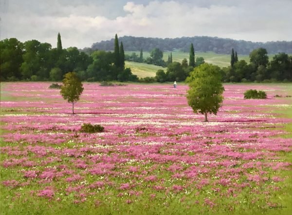 Candido Oliveira - Campo